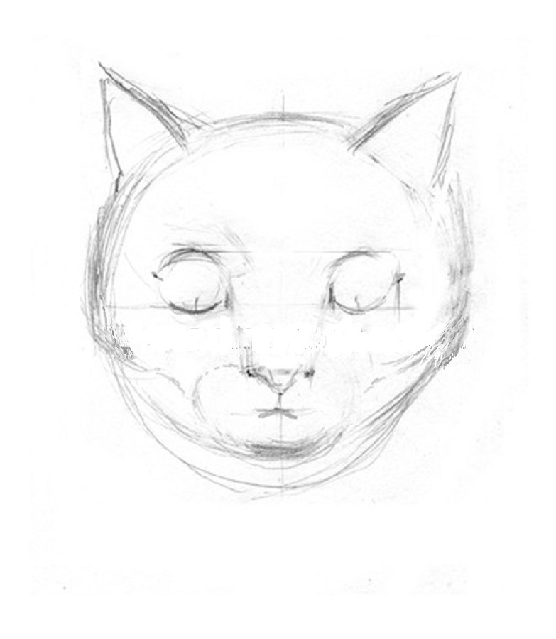 Рисунки кошек карандашом всех пород thumbnail