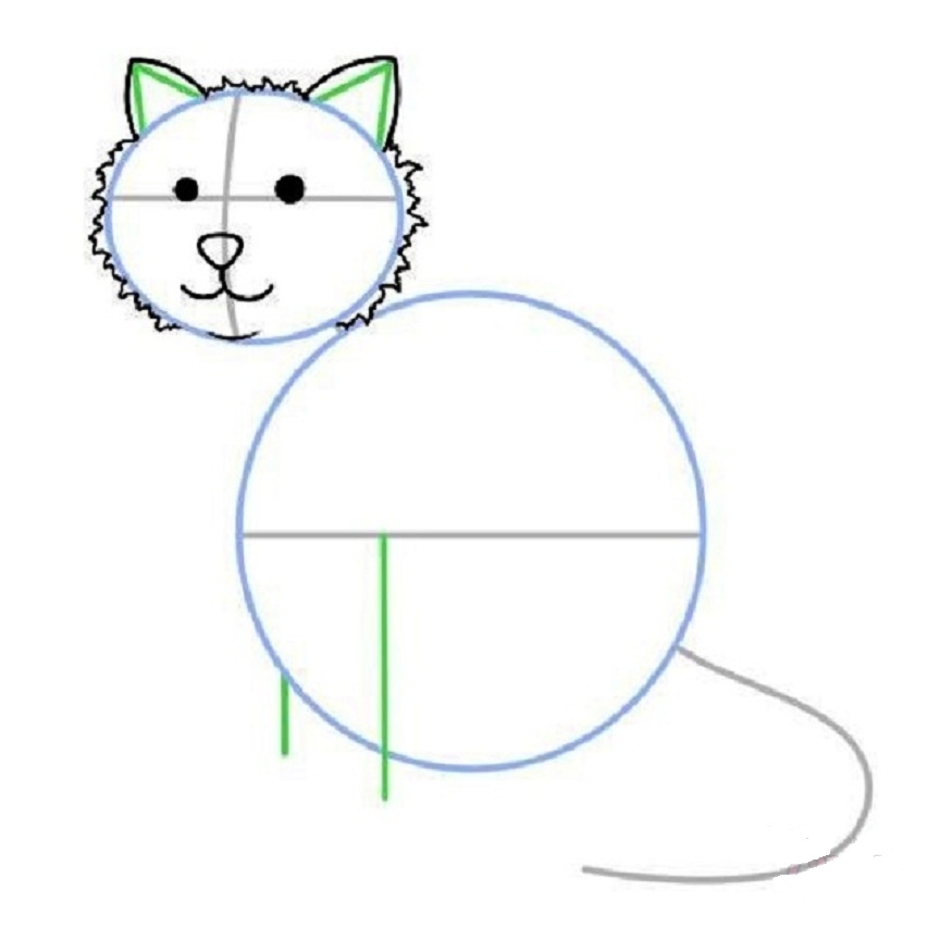 Как рисовать кошку с породой thumbnail