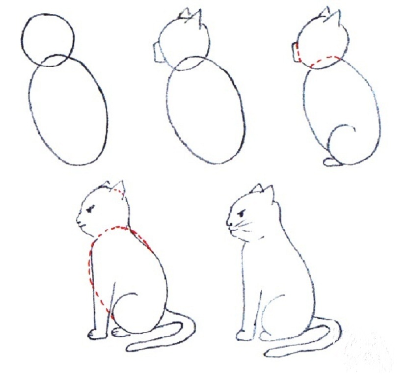 Картинки поэтапно. Поэтапное рисование карандашом. Поэтапное рисование кошки. Поэ апное рисование кошки. Этапы рисования кошки.