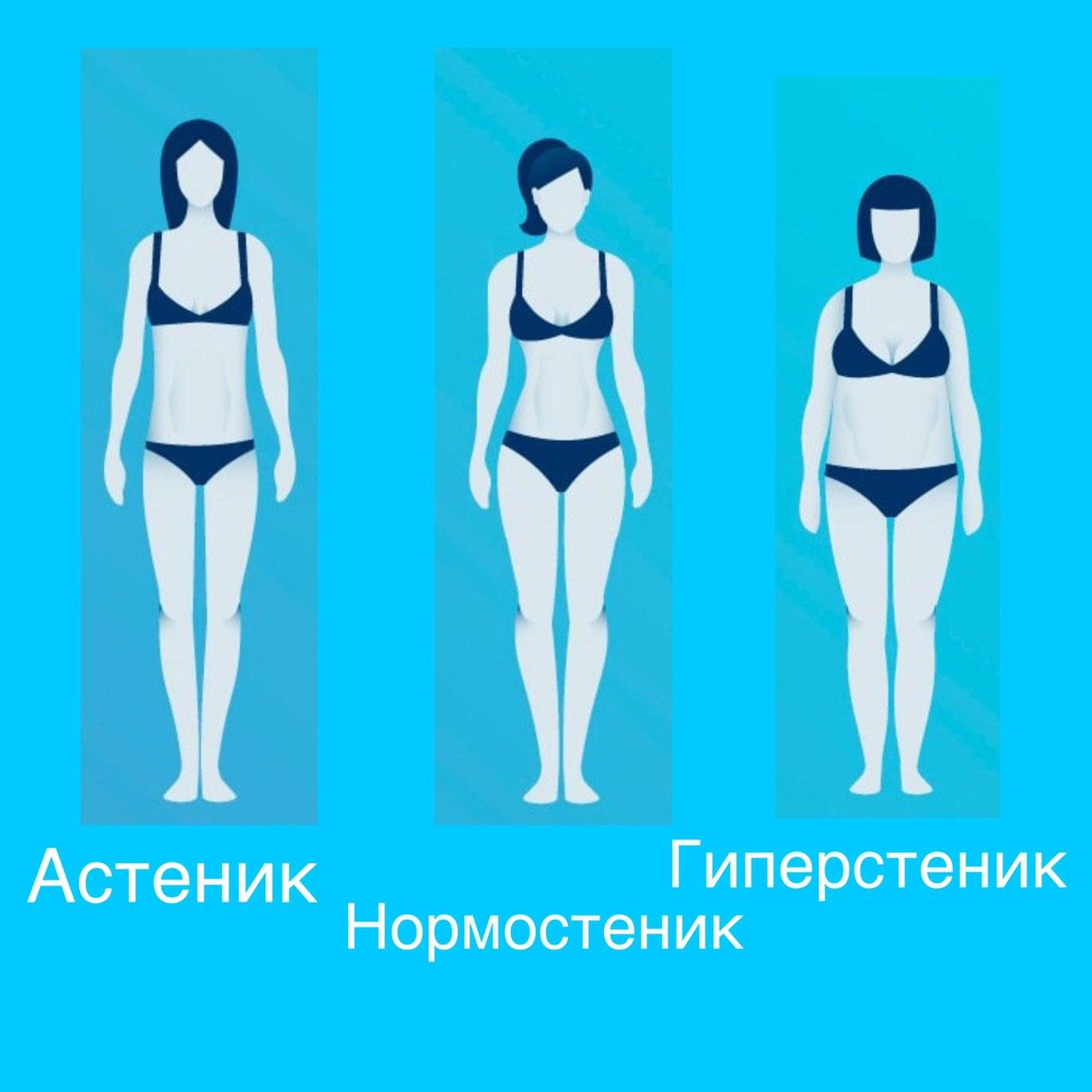 Нормостеническое телосложение у женщин что это фото